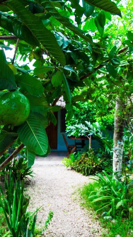 Cabanas Las Palmas Bacalar Hotel
