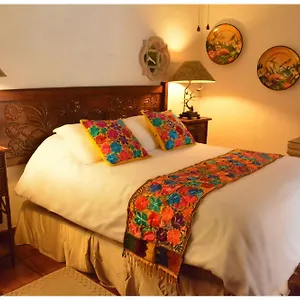 Collection O Casa Bella Boutique, Hotel Cabo San Lucas