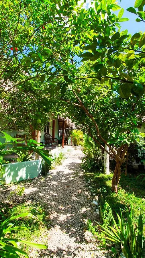 Cabanas Las Palmas Bacalar 0*,