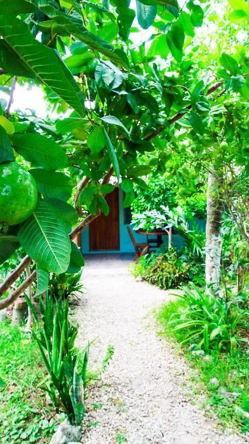 Ξενοδοχείο Cabanas Las Palmas Bacalar